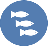 Logo for Fisheries and Aquatic Ecosystems, part of Catchment Solutions.