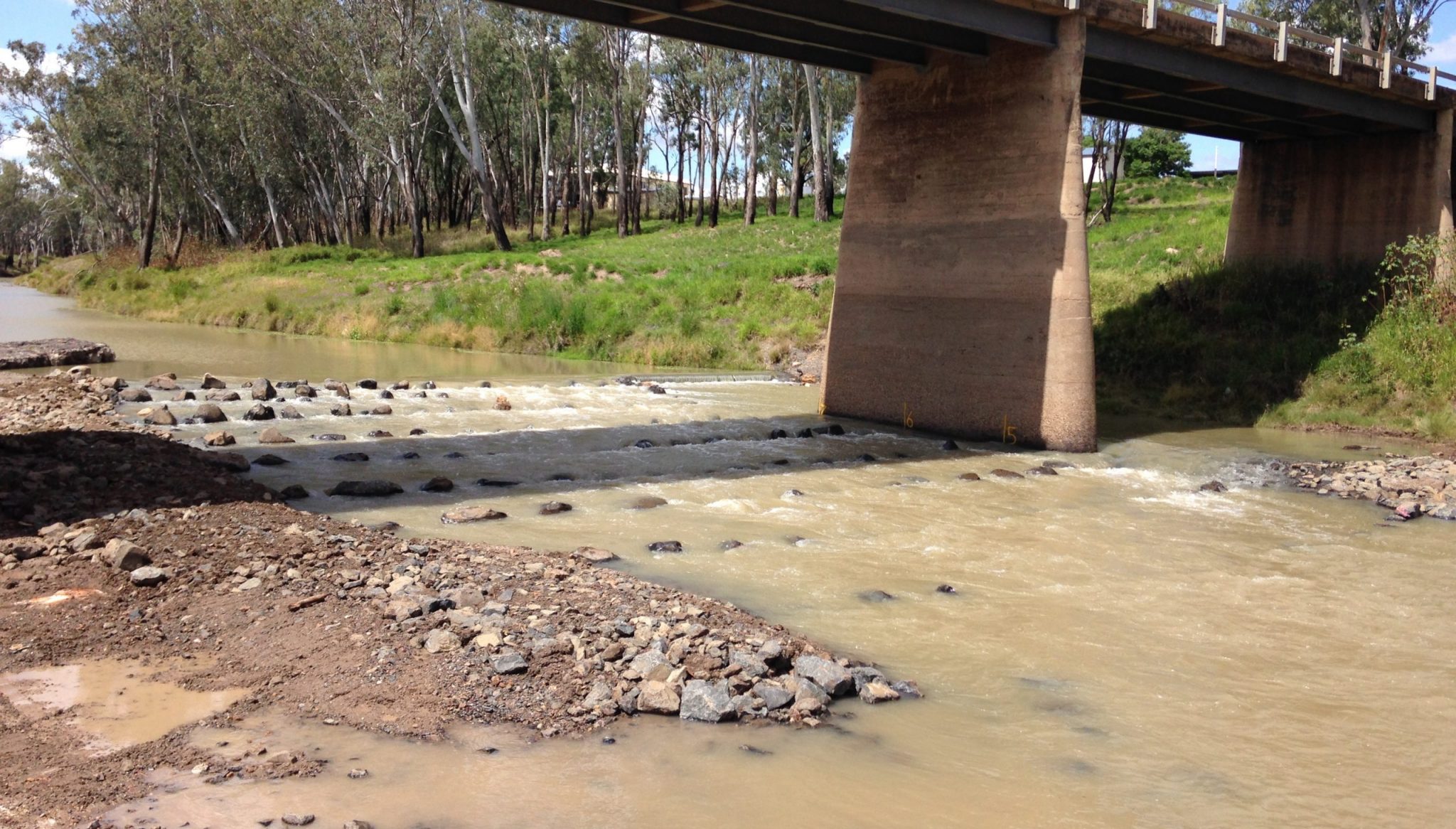 Fisheries & Aquatic Ecosystems - Catchment Solutions