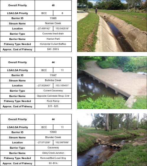 Top ranking fish barriers in south east Queensland, including Norman Creek, Bulimba Creek and Blunder Creek, places identified for fish ladder sites and fishway monitoring.