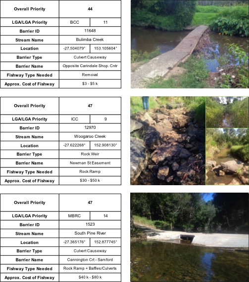 Top ranking fish barriers in south east Queensland, including Bulimba Creek, Woogaroo Creek and South Pine River, places identified for fish ladder sites and fishway monitoring.