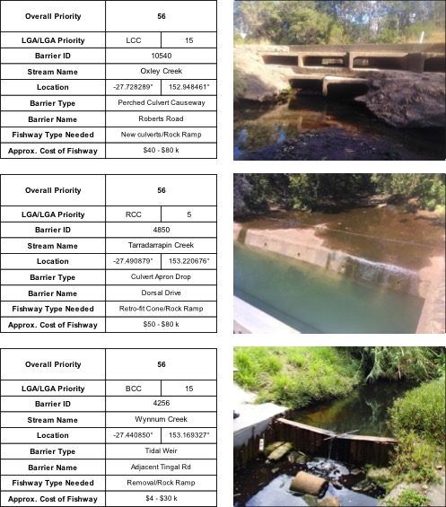 Top ranking fish barriers in south east Queensland, including Oxley Creek, Tarradarrapin Creek and Wynnum Creek, places identified for fish ladder sites and fishway monitoring.