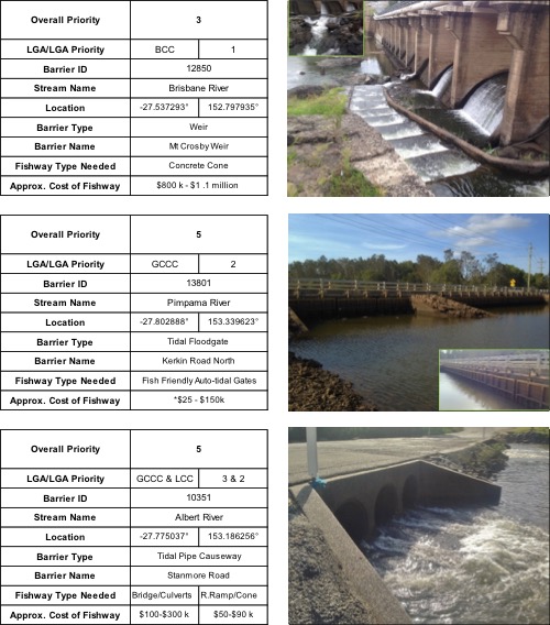 Top ranking fish barriers in south east Queensland, including Albert River, Brisbane River and Pimpama River, places identified for fish ladder sites and fishway monitoring.